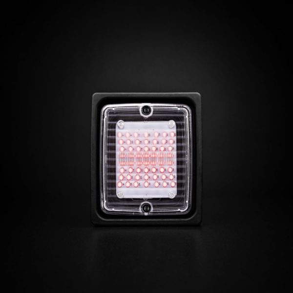 Ize Led Tail Light Led, Clear Lens